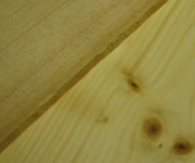 picture of spruce and pine samples